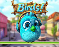 Birds Birds