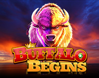 Buffalo Begins Buffalo Begins