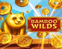 Bamboo Wilds Bamboo Wilds