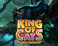 King of Cats King of Cats