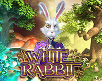 White Rabbit White Rabbit