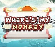 Where`s My Monkey Where`s My Monkey