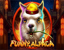 Funny Alpaca Funny Alpaca