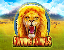 Running Animals Running Animals