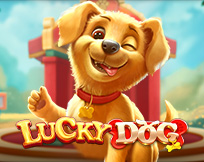 Lucky Dog Lucky Dog
