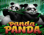 Panda Panda Panda Panda