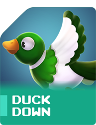 Duck Down Duck Down