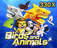 Birds And Animals Birds And Animals