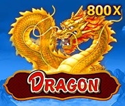 Dragon Dragon