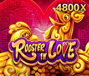 Rooster In Love Rooster In Love