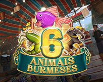 Burmese 6 Animals Burmese 6 Animals