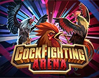 Cockfighting Arena KM Cockfighting Arena KM