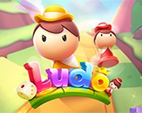 Ludo KM Ludo KM