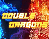 Double Dragons Double Dragons