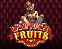 Wild Joker Wild Joker
