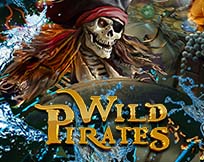 Wild Pirates Wild Pirates