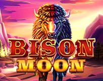 Bison Moon Bison Moon
