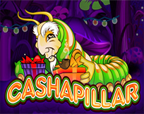 Cashapillar Cashapillar