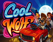 Cool Wolf Cool Wolf
