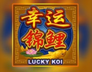 Lucky Koi Lucky Koi