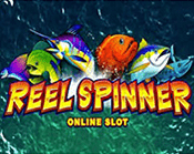 Reel Spinner Reel Spinner