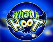 What A Hoot What A Hoot