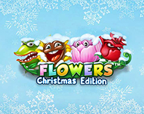 Flowers Christmas Edition Flowers Christmas Edition