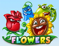 Flowers Flowers