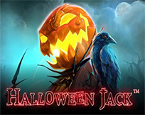 Halloween Jack Halloween Jack