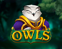 Owls Owls