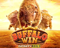 Buffalo Win Buffalo Win