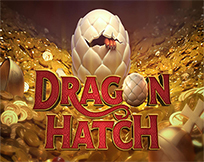 Dragon Hatch Dragon Hatch