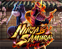 Ninja vs Samurai Ninja vs Samurai