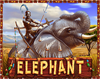 Elephant Elephant