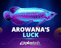 Arowana`s Luck Arowana`s Luck