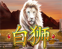 Bai Shi Bai Shi