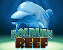 Dolphin Reef Dolphin Reef