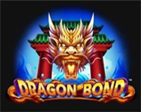 Dragon Bond Dragon Bond
