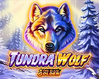 Fire Blaze: Tundra Wolf Fire Blaze: Tundra Wolf