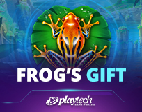 Frogs Gift Frogs Gift