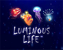 Luminous Life Luminous Life
