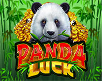 Panda Luck Panda Luck