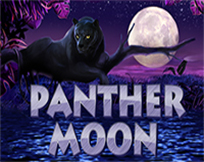 Panther Moon Panther Moon