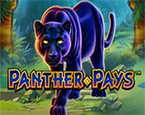 Panther Pays Panther Pays