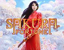 Sakura Fortune Sakura Fortune