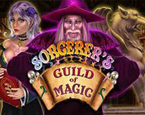 Sorcerer`s Guild of Magic Sorcerer`s Guild of Magic