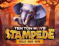 Ten Ton Ways Stampede Ten Ton Ways Stampede