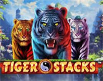 Tiger Stacks Tiger Stacks