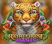 Rainforest Magic Rainforest Magic