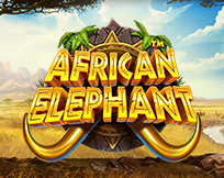 African Elephant African Elephant